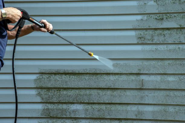 Best House Exterior Washing  in Morrisonville, NY